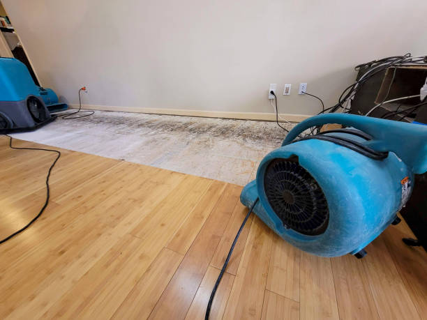 Professional Water Removal technician working in Bascom, OH